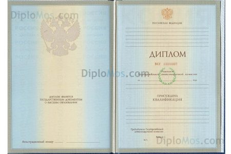 диплом 2004-2009